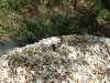 Keeping gravel alive (Medium)